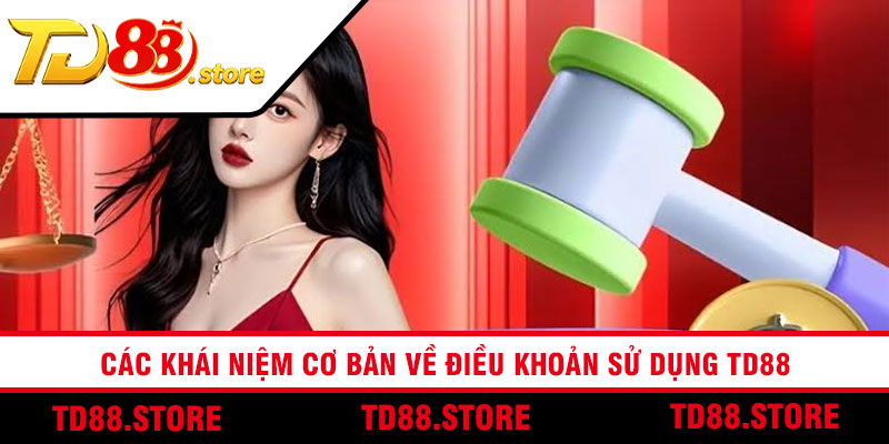 Các khái niệm cơ bản về điều khoản sử dụng td88