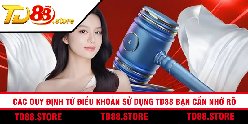 Các quy định từ điều khoản sử dụng TD88 bạn cần nhớ rõ