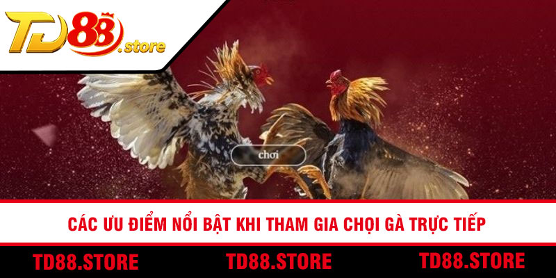 Các ưu điểm nổi bật khi tham gia chọi gà trực tiếp