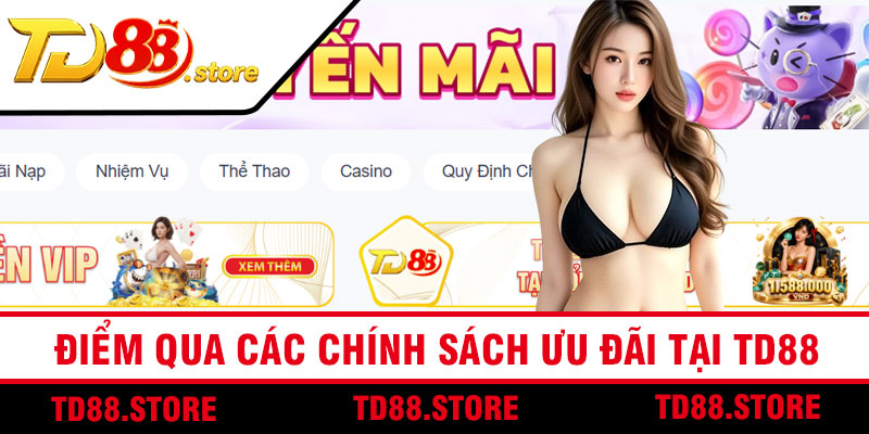 Điểm Qua Các Chính Sách Ưu Đãi Tại TD88