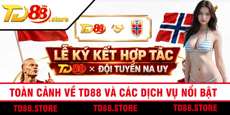 Toàn Cảnh Về TD88 Và Các Dịch Vụ Nổi Bật