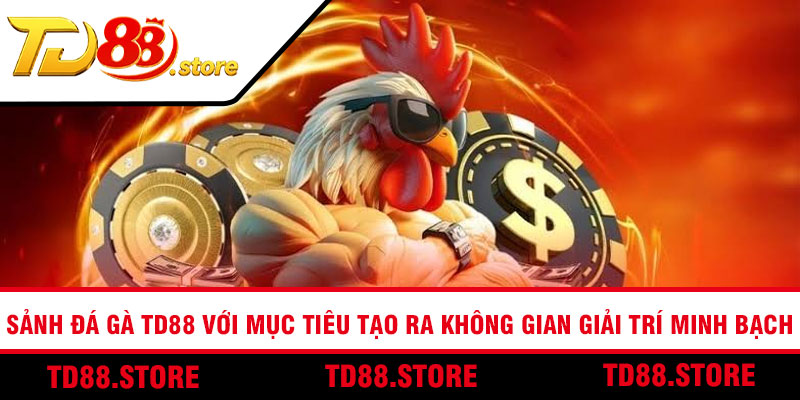 Sảnh đá gà TD88 với mục tiêu tạo ra không gian giải trí minh bạch
