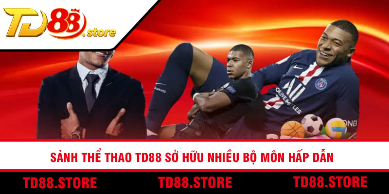 Sảnh thể thao TD88 sở hữu nhiều bộ môn hấp dẫn
