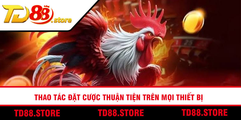 Thao tác đặt cược thuận tiện trên mọi thiết bị