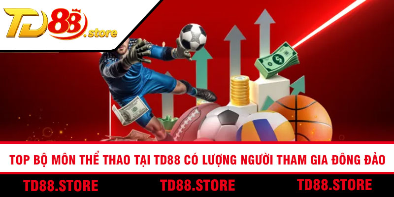 Top bộ môn thể thao tại TD88 có lượng người tham gia đông đảo